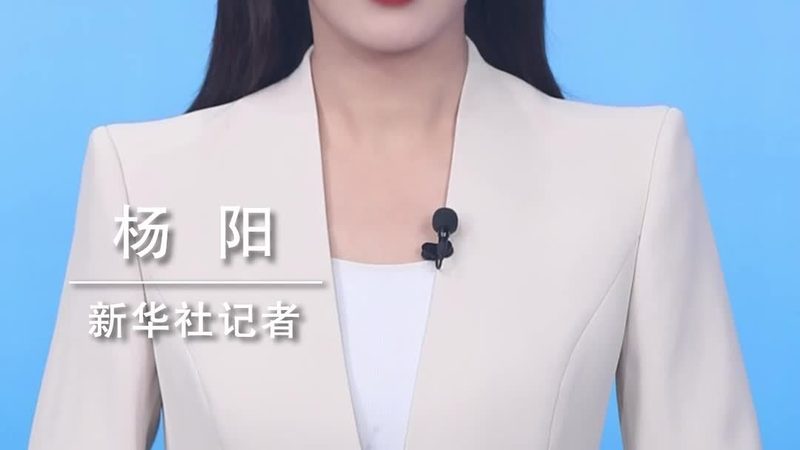 科技公司年报公示规范要求
